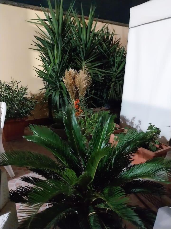 Il Giardino Di Marimar Apartment Bagian luar foto